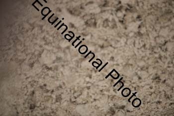 FIV-3655