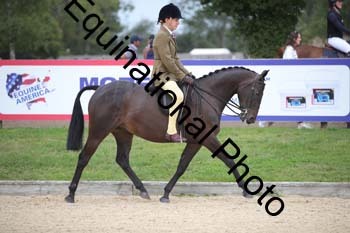 FIV-3663