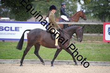 FIV-3664