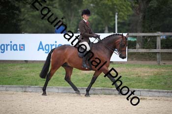 FIV-3666