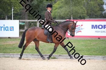 FIV-3667