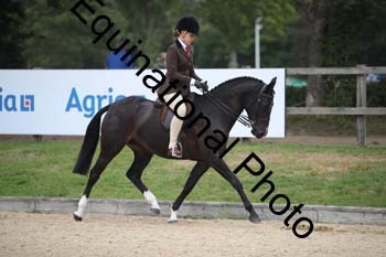 FIV-3680