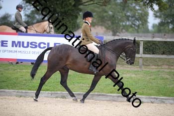 FIV-3690