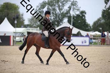 FIV-3704
