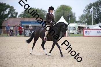 FIV-3707