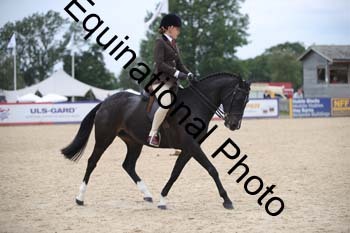FIV-3709
