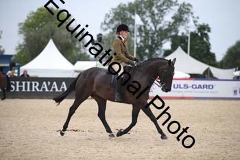 FIV-3720