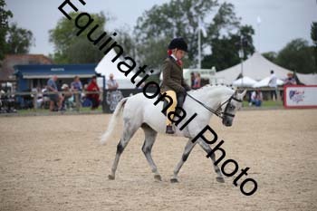 FIV-3797