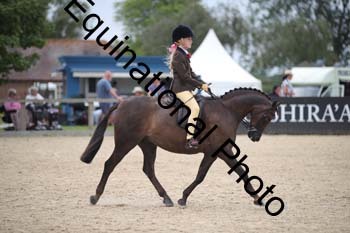 FIV-3818