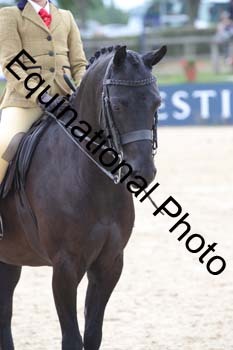 FIV-3870