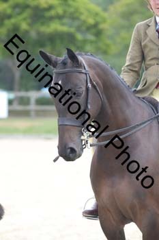 FIV-3907