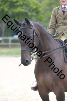 FIV-3908
