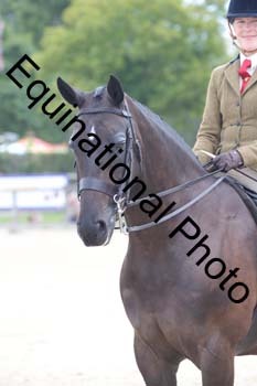 FIV-3960