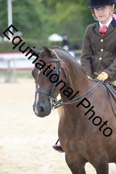 FIV-3980