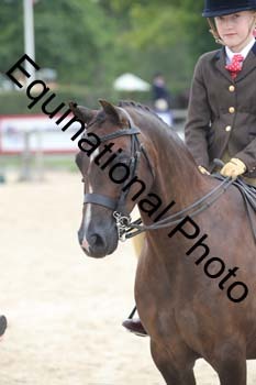 FIV-3981