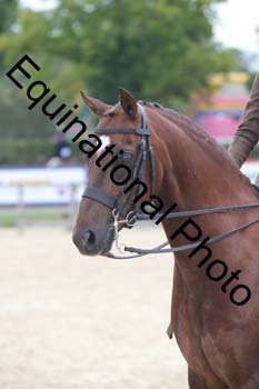 FIV-3988
