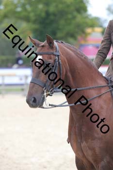 FIV-3989