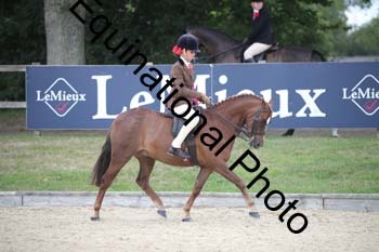 FIV-4098