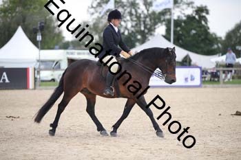 FIV-4158