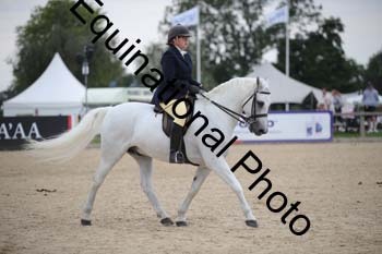 FIV-4161