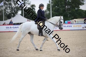 FIV-4162