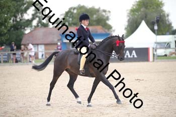 FIV-4167