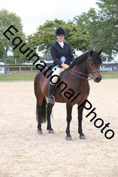 FIV-4211