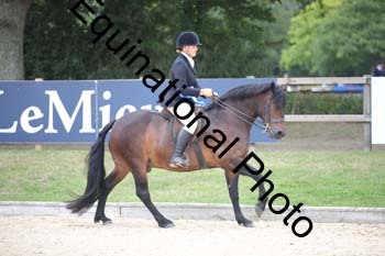 FIV-4220
