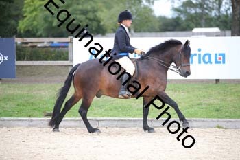 FIV-4221