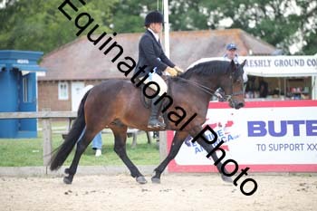 FIV-4229