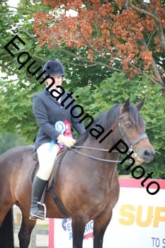 FIV-4271