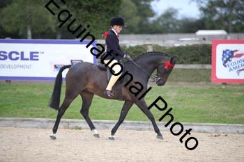 FIV-4280