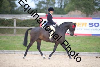 FIV-4281