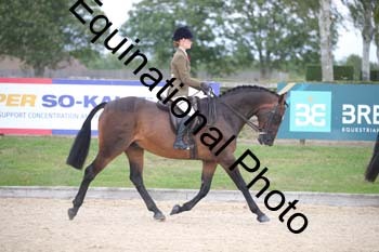 FIV-4298