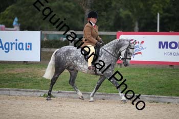 FIV-4299