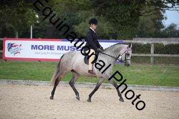 FIV-4307