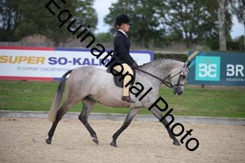 FIV-4309