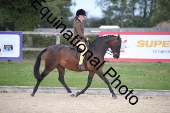 FIV-4320