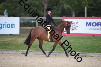 FIV-4329