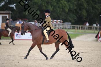 FIV-4360