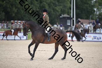 FIV-4365