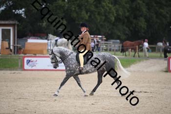 FIV-4382