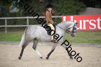 FIV-4393
