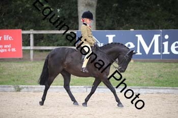 FIV-4400