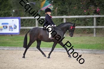 FIV-4401