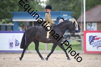 FIV-4408