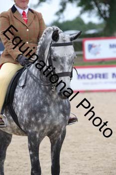 FIV-4503