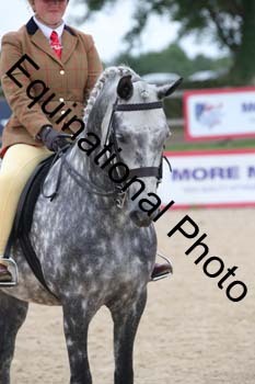 FIV-4504