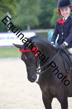 FIV-4509