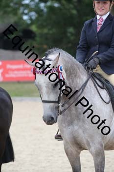FIV-4594